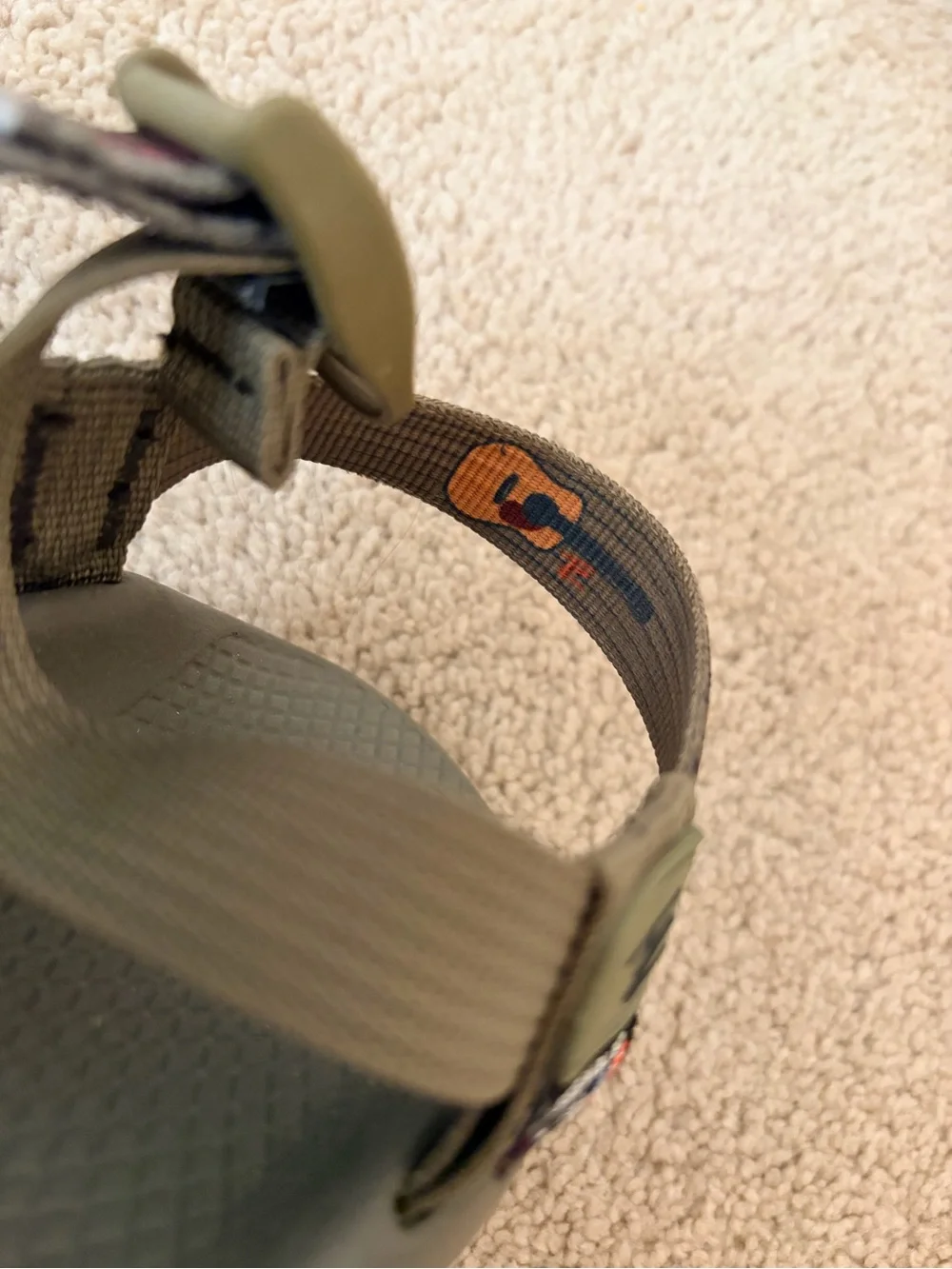 Thomas Rhett Rainbow Trout Chaco’s Size 8